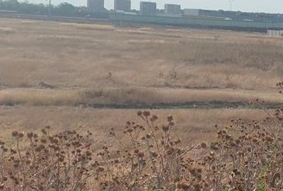 Vanzare Teren intravilan  Pipera Vanzare Teren intravilan  Pipera - 4