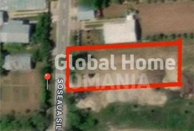 Teren Intravilan 1350Mp | Snagov Gruiu Ilfov | Zona Rezidential | Utilitati