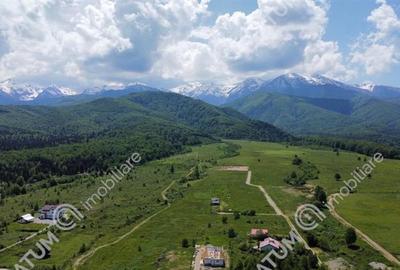 Teren intravilan de vanzare 3000 mp pe Valea Avrigului - 1