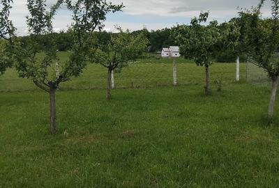 Spațiu comercial, în Cisnădie - 6