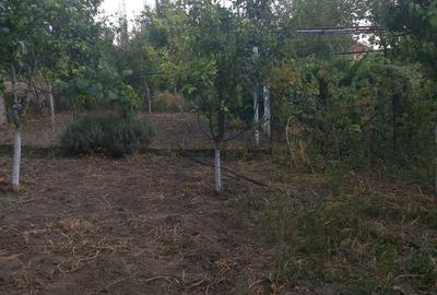 Casă cu 5 camere în Satchinez - 1