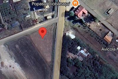 Teren de 2000 mp, în Măldăeni - 5