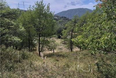 Teren intravilan pentru investitie turistica, 4000 mp, langa Club Vila Bran cu p - 6