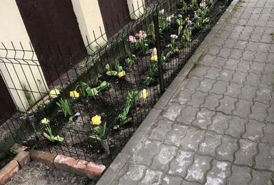 Apartament ?oseaua Chitilei - 5