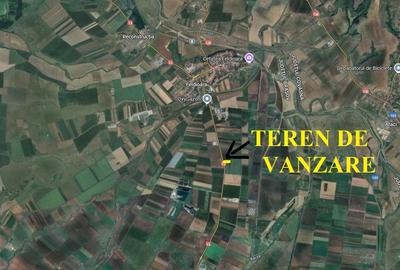 Teren cu PUZ industrial la DN 13 - 3
