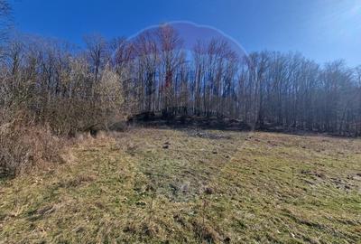 Teren Construcții intravilan de 4985 mp, în Sascut - 1