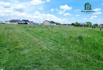 Teren de 1824 mp, în Mărăcineni - 1