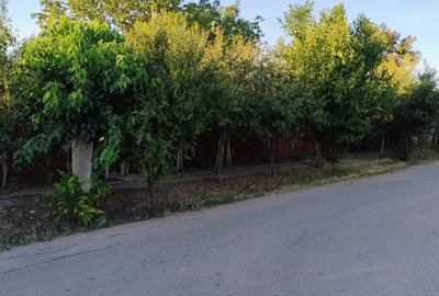 Casă cu 4 camere în Izvoarele - 1