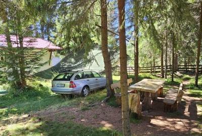 Casa de vacanta, 3 camere, teren 838 mp, 110 mp, Marisel - 9