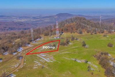 COMIISION 0% Teren cu vedere spectaculoasa 3.100 mp Vladeni - 4