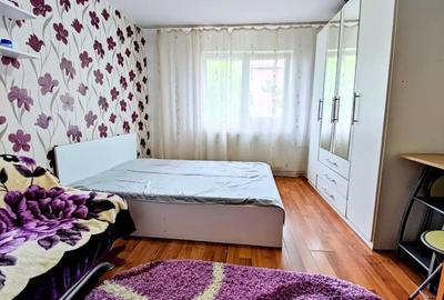 Garsonieră în Buziașului