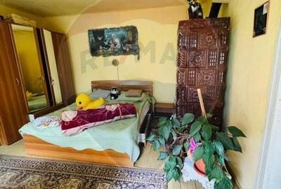 Casă individuală cu 3 camere cu Canalizare în Câmpulung la Tisa - 8