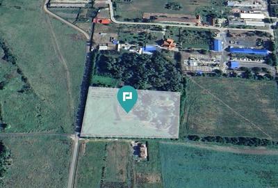 Teren intravilan cu baltă de pescuit - 2