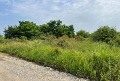 Teren Saftica- strada Albinelor. - 2