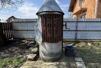 Casă cu Teren 287 Mp în Viforoasa - 1