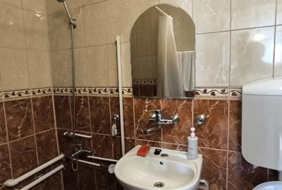 Apartament cu 1 camera, 35 mp, etaj intermediar, zona Garii - 3