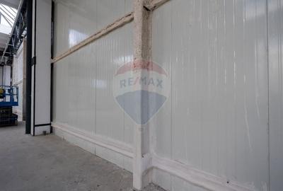 Spațiu industrial, de 10,400 mp, în Astra - 2