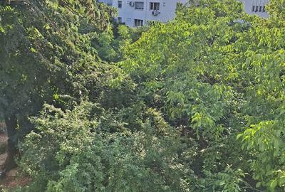 Apartament cu 3 camere în Gorjului - 5