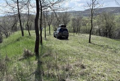 Spațiu comercial, în Ciula Mare - 1