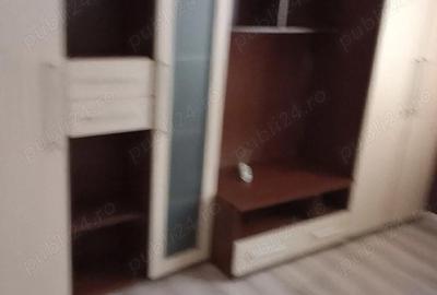 Apartament cu 2 camere semidecomandat în Banat - 6