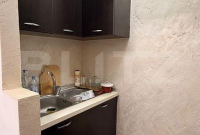 Apartament cu 3 camere decomandat în Tudor - 12