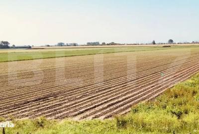 Spațiu comercial, în Central