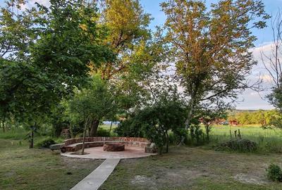 Casă cu 4 camere în Vărădia de Mureș - 16