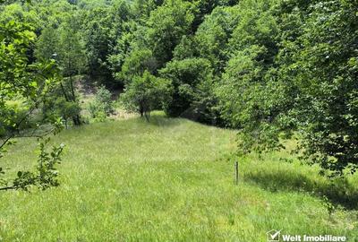 Teren agricol extravilan de 1423 mp, în Huta - 5