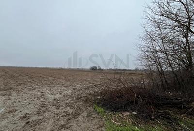 Teren Construcții intravilan de 4200 mp, în Merii - 4