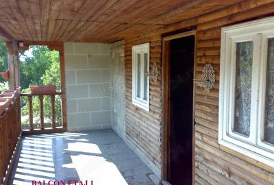 Casă cu 4 camere cu Teren 2385 Mp în Făgețelu - 1