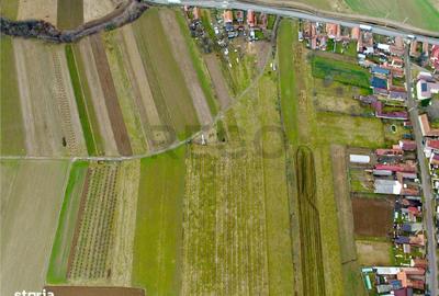 Spațiu comercial, în Aușeu - 3