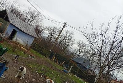 Vand casa la ?ara - 8