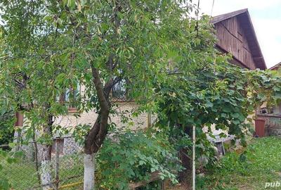 Casă cu 6 camere cu Teren 4500 Mp în Brebu - 7