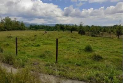 Teren 5000 mp, cu utilita?i, in comuna Crasna - 4