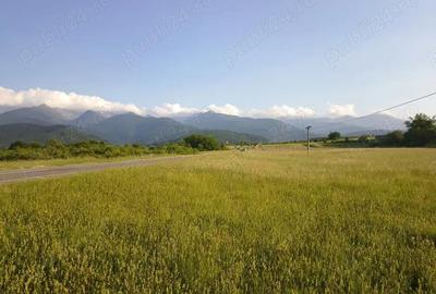 Teren de 1800 mp, în Cârțișoara - 3