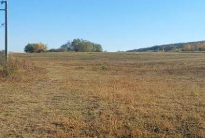 Husi Comuna Padureni - 8,5 hectare teren agricol - 3