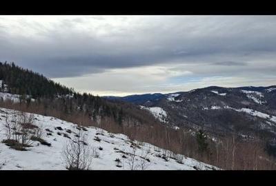 Spațiu comercial, în Muntele Rece - 6