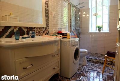 Casă cu 7 camere cu Teren 9948 Mp în Arefu - 2