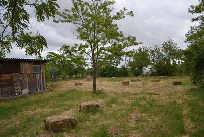 Casă cu 5 camere cu Teren 1447 Mp în Surdila-Greci - 2