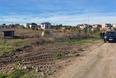 Teren intravilan construibil Techirghiol - 5