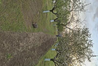 Casă cu 4 camere în Central - 1