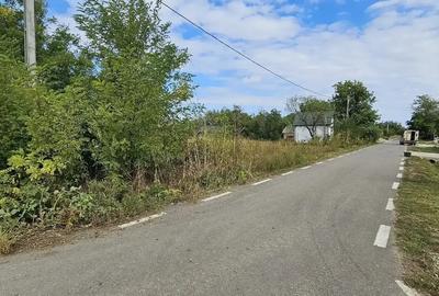 Ocazie! Teren intravilan ,ideal pentru casa ,imprejmuit(Ialomita) - 4