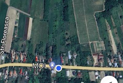 Teren de 6200 mp, în Central