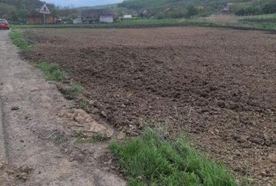 Teren de 2500 mp, în Grebenișu de Câmpie - 7