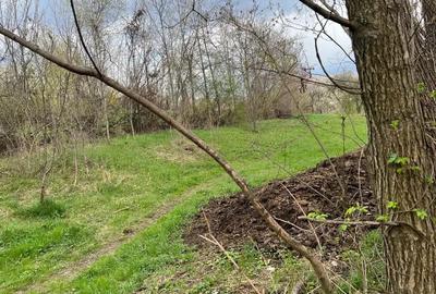 Breaza - str. Plaiului, teren 1400 mp - 9