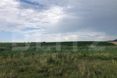 Teren Intravilan de 500 mp in Sanpetru, Bra?ov Zona Teren Intravilan de 500 mp in Sanpetru, Bra?ov Zona - 3