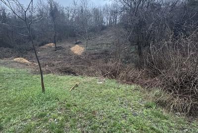 Spațiu comercial, în Central - 3