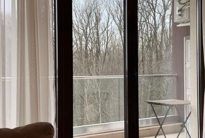 Apartament cu 2 camere, mobilat în Iancu Nicolae - 4