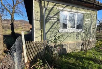 Casă cu 1 camere cu Teren 420 Mp în Tăuții de Sus - 3