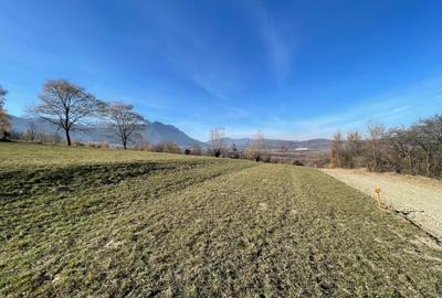 Teren intravilan loturi intre 500 si 1000 m la 14 km de Rasnov - 11